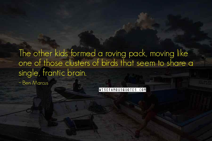 Ben Marcus Quotes: The other kids formed a roving pack, moving like one of those clusters of birds that seem to share a single, frantic brain.