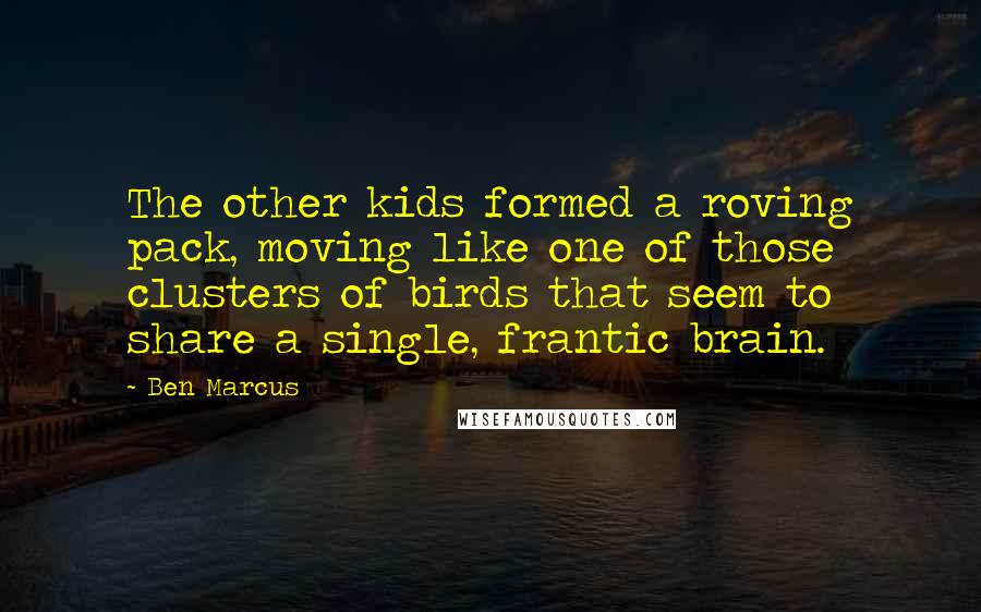 Ben Marcus Quotes: The other kids formed a roving pack, moving like one of those clusters of birds that seem to share a single, frantic brain.