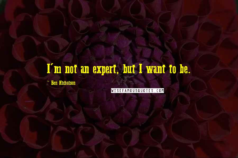 Ben Nicholson Quotes: I'm not an expert, but I want to be.