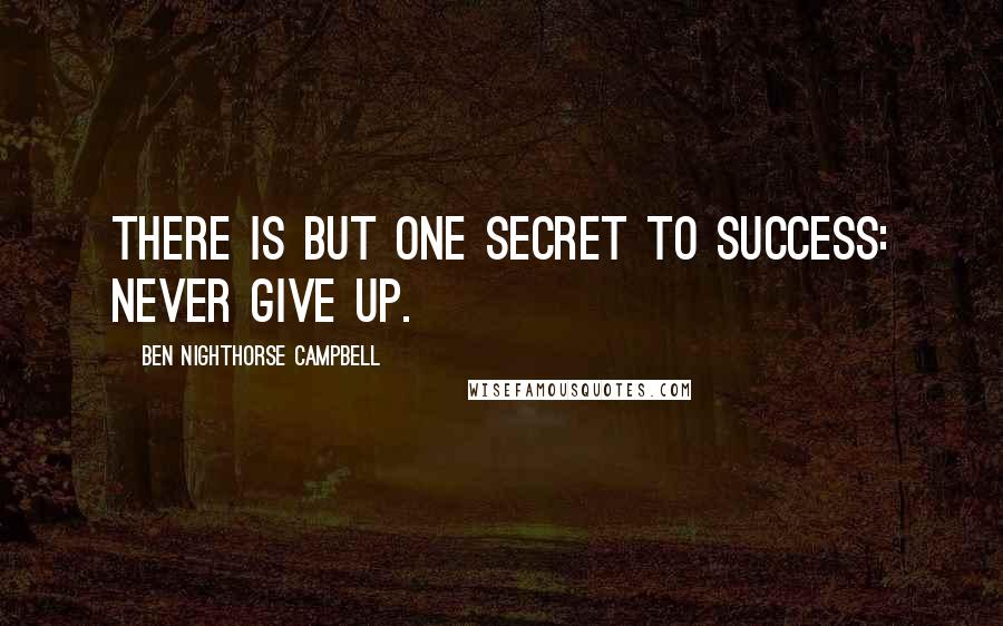 Ben Nighthorse Campbell Quotes: There is but one secret to success: never give up.