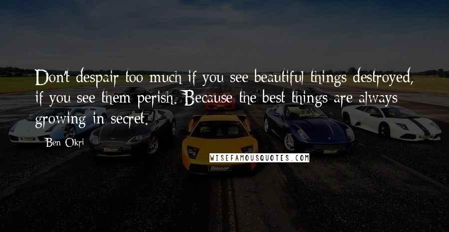 Ben Okri Quotes: Don't despair too much if you see beautiful things destroyed, if you see them perish. Because the best things are always growing in secret.