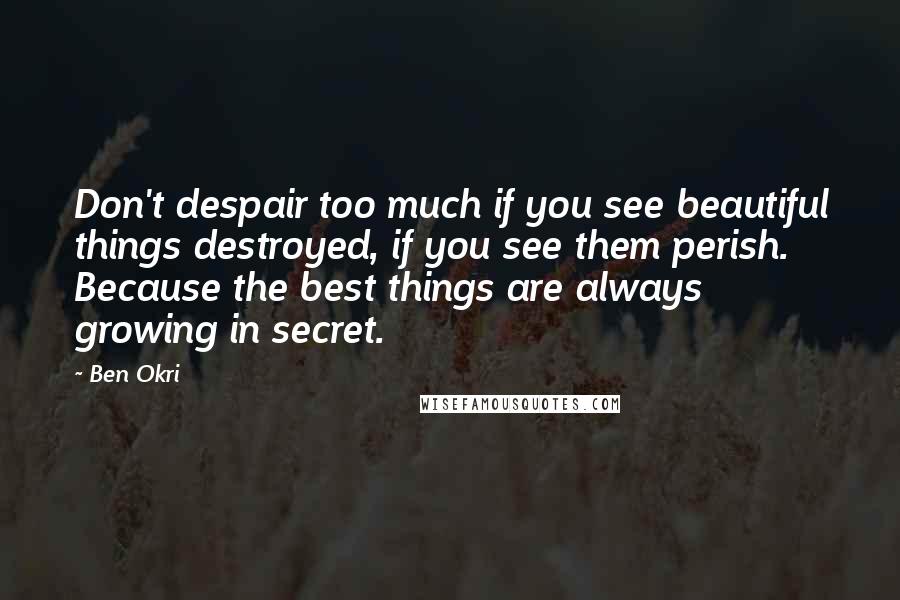 Ben Okri Quotes: Don't despair too much if you see beautiful things destroyed, if you see them perish. Because the best things are always growing in secret.