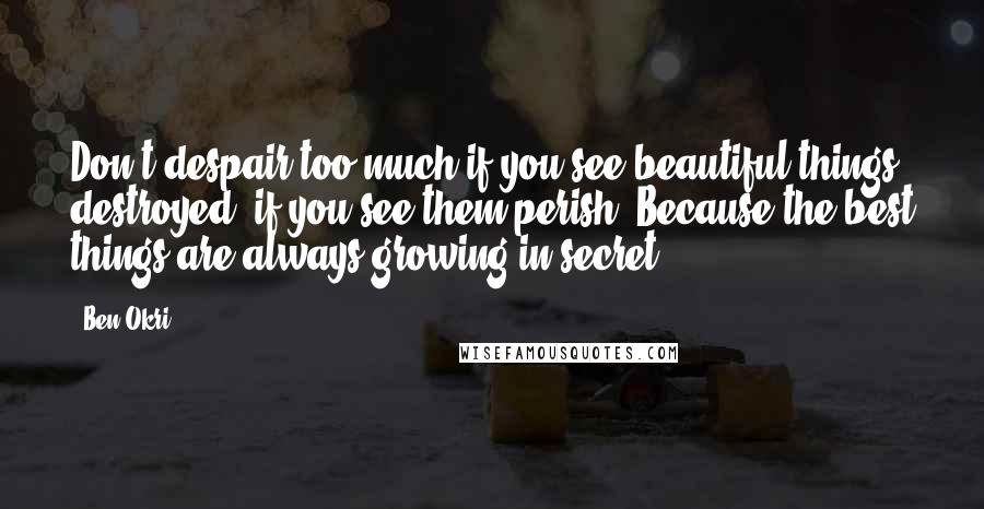 Ben Okri Quotes: Don't despair too much if you see beautiful things destroyed, if you see them perish. Because the best things are always growing in secret.