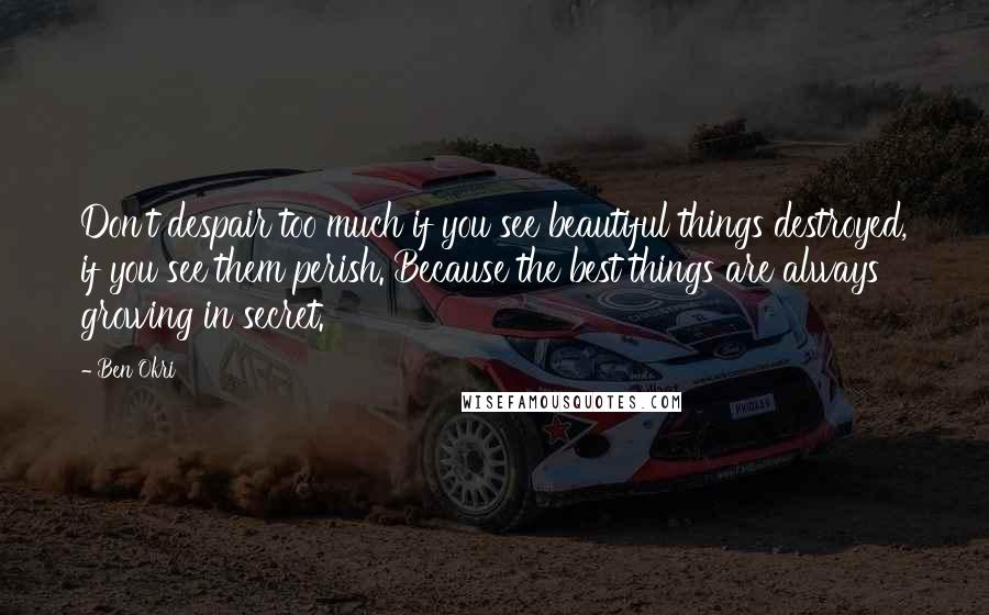 Ben Okri Quotes: Don't despair too much if you see beautiful things destroyed, if you see them perish. Because the best things are always growing in secret.