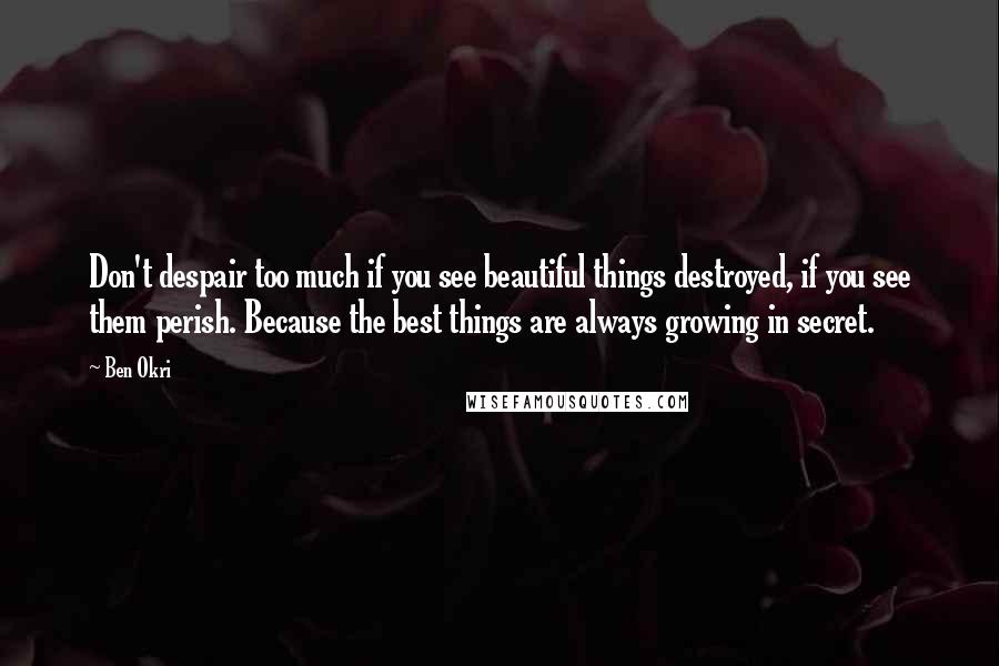 Ben Okri Quotes: Don't despair too much if you see beautiful things destroyed, if you see them perish. Because the best things are always growing in secret.