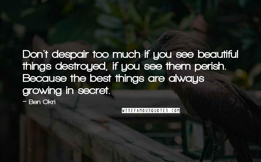 Ben Okri Quotes: Don't despair too much if you see beautiful things destroyed, if you see them perish. Because the best things are always growing in secret.