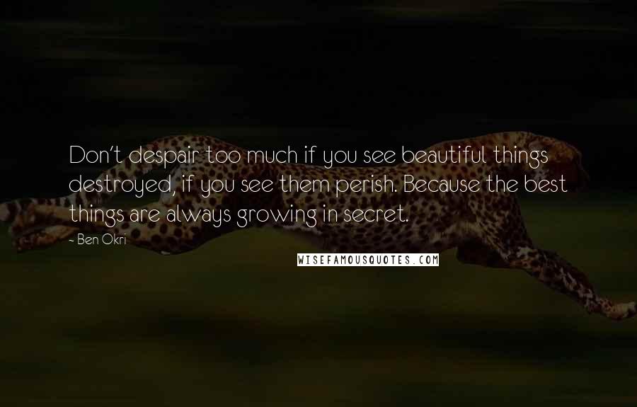 Ben Okri Quotes: Don't despair too much if you see beautiful things destroyed, if you see them perish. Because the best things are always growing in secret.