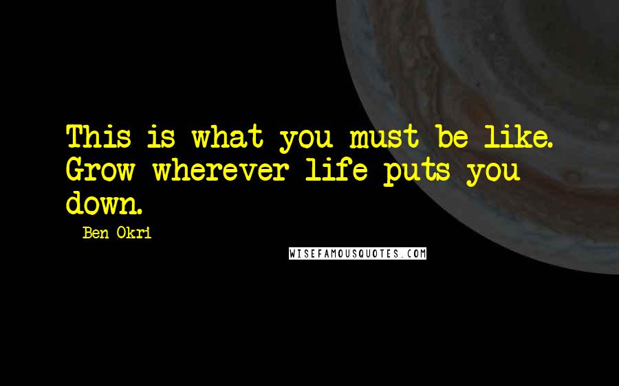 Ben Okri Quotes: This is what you must be like. Grow wherever life puts you down.