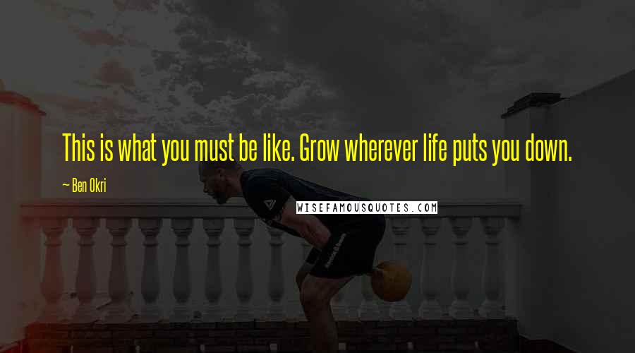 Ben Okri Quotes: This is what you must be like. Grow wherever life puts you down.
