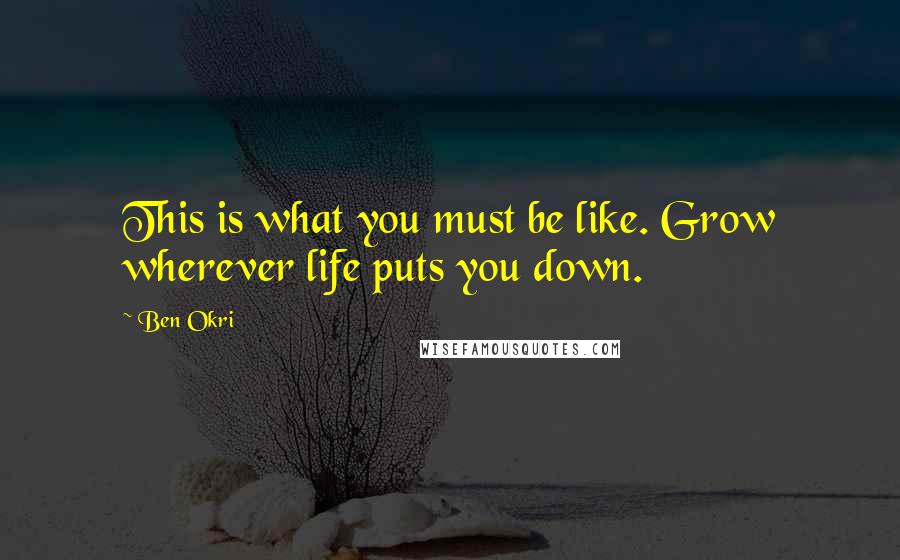 Ben Okri Quotes: This is what you must be like. Grow wherever life puts you down.