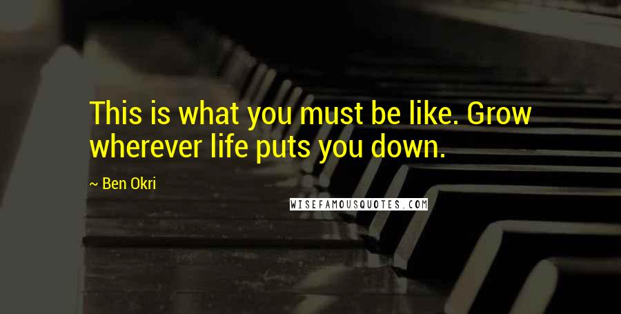 Ben Okri Quotes: This is what you must be like. Grow wherever life puts you down.