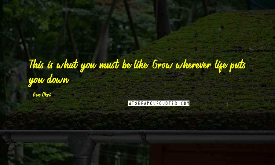 Ben Okri Quotes: This is what you must be like. Grow wherever life puts you down.