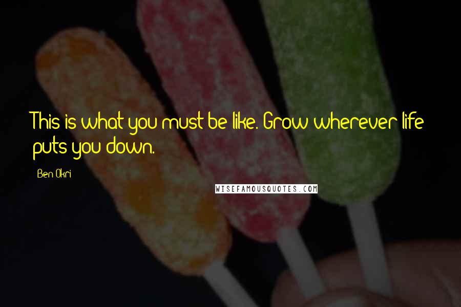 Ben Okri Quotes: This is what you must be like. Grow wherever life puts you down.