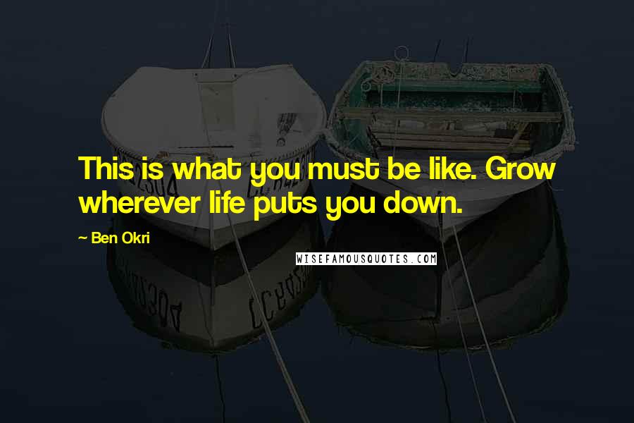 Ben Okri Quotes: This is what you must be like. Grow wherever life puts you down.