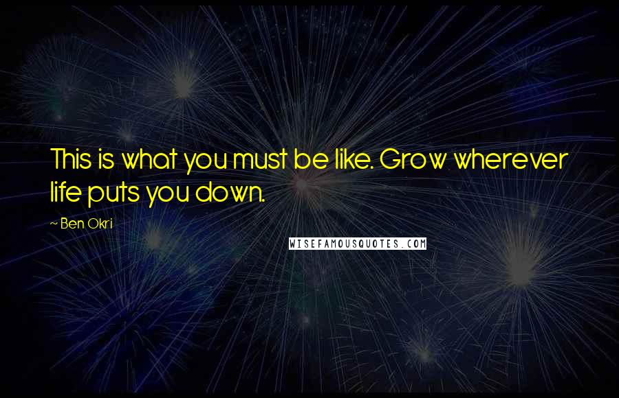 Ben Okri Quotes: This is what you must be like. Grow wherever life puts you down.