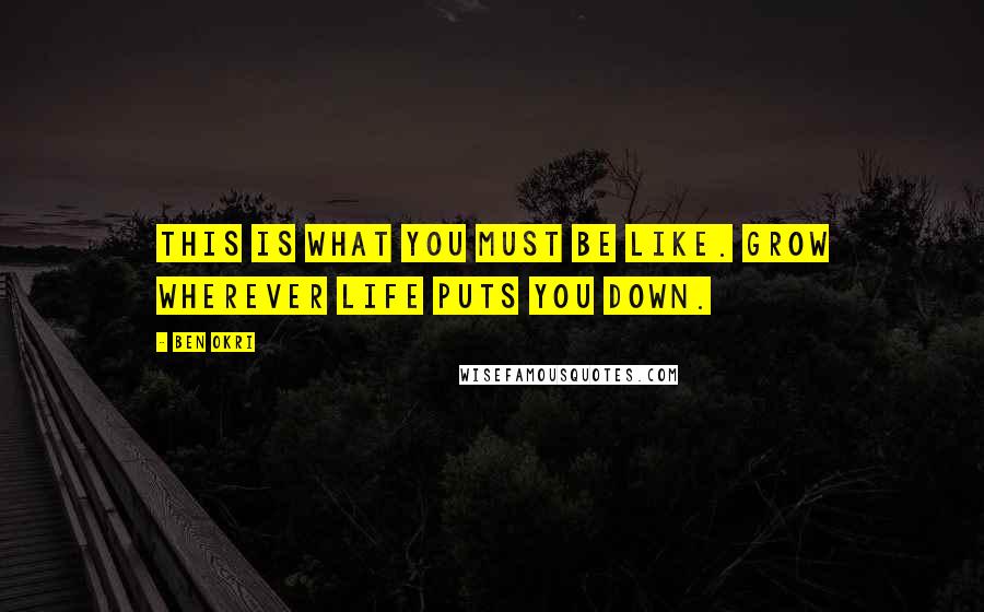 Ben Okri Quotes: This is what you must be like. Grow wherever life puts you down.
