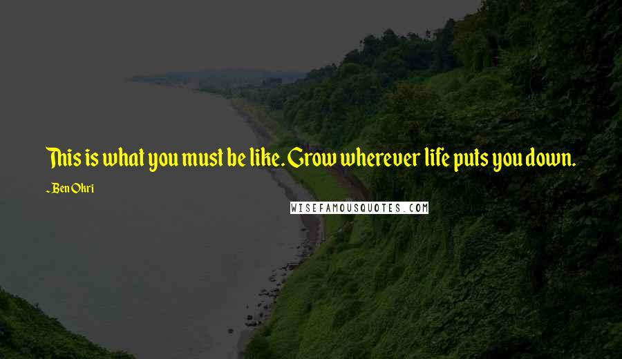 Ben Okri Quotes: This is what you must be like. Grow wherever life puts you down.