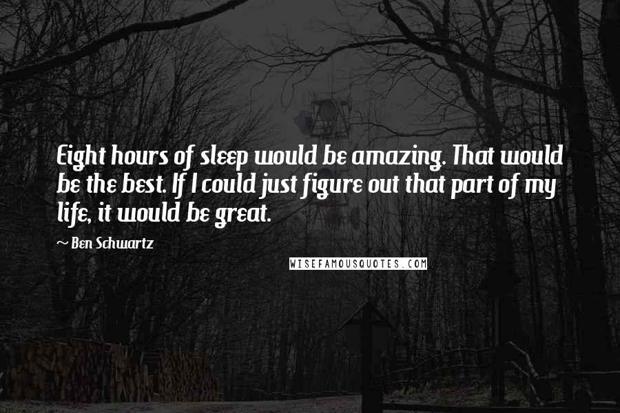 Ben Schwartz Quotes: Eight hours of sleep would be amazing. That would be the best. If I could just figure out that part of my life, it would be great.