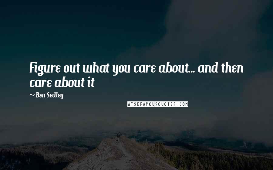 Ben Sedley Quotes: Figure out what you care about... and then care about it