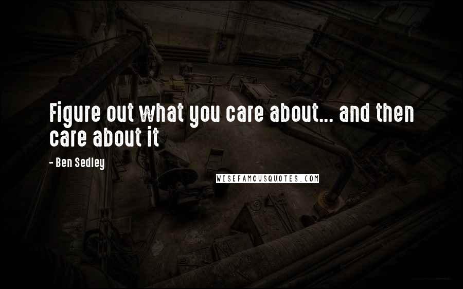 Ben Sedley Quotes: Figure out what you care about... and then care about it