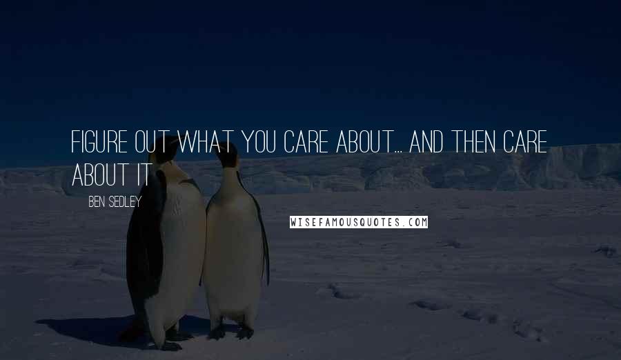 Ben Sedley Quotes: Figure out what you care about... and then care about it