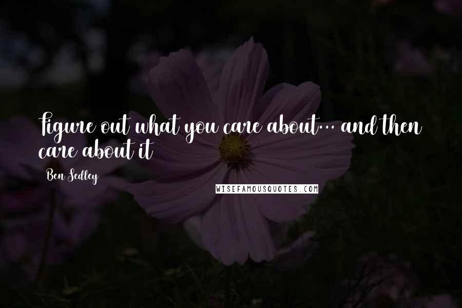 Ben Sedley Quotes: Figure out what you care about... and then care about it