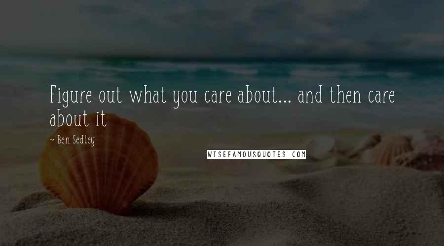 Ben Sedley Quotes: Figure out what you care about... and then care about it