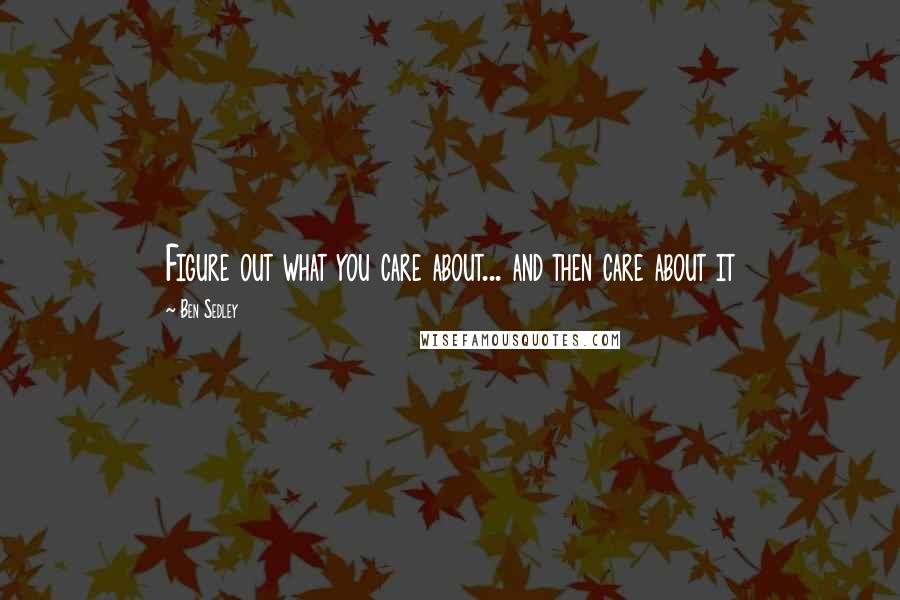 Ben Sedley Quotes: Figure out what you care about... and then care about it