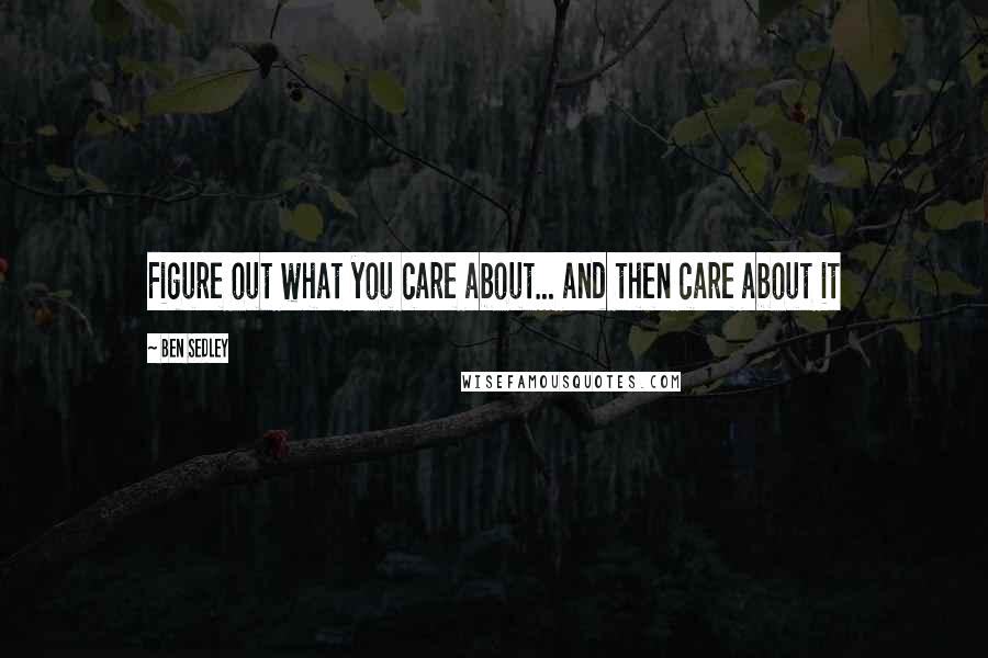 Ben Sedley Quotes: Figure out what you care about... and then care about it