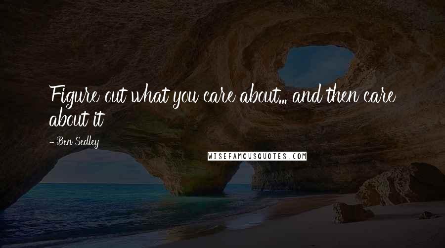 Ben Sedley Quotes: Figure out what you care about... and then care about it