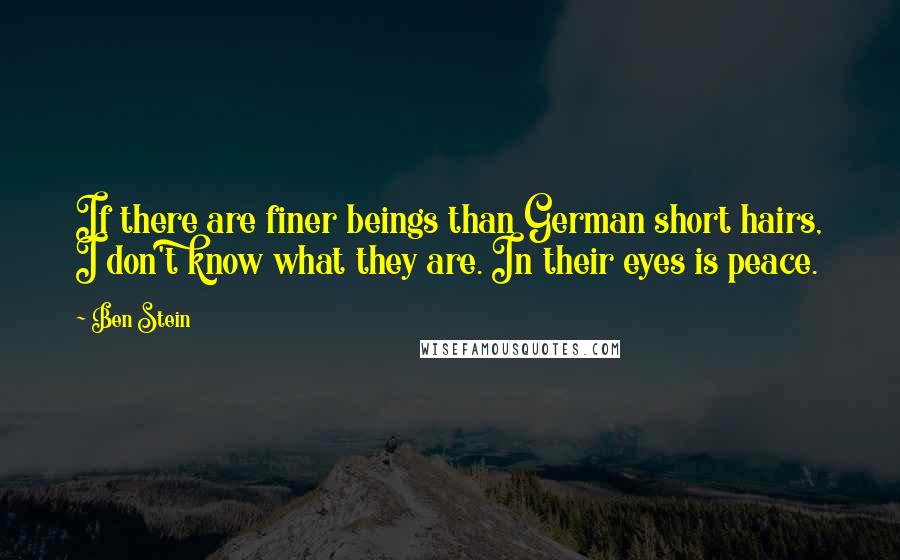 Ben Stein Quotes: If there are finer beings than German short hairs, I don't know what they are. In their eyes is peace.