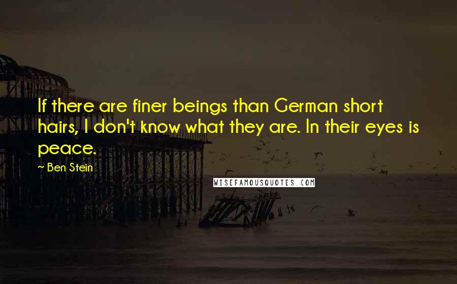 Ben Stein Quotes: If there are finer beings than German short hairs, I don't know what they are. In their eyes is peace.