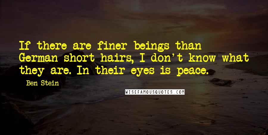 Ben Stein Quotes: If there are finer beings than German short hairs, I don't know what they are. In their eyes is peace.