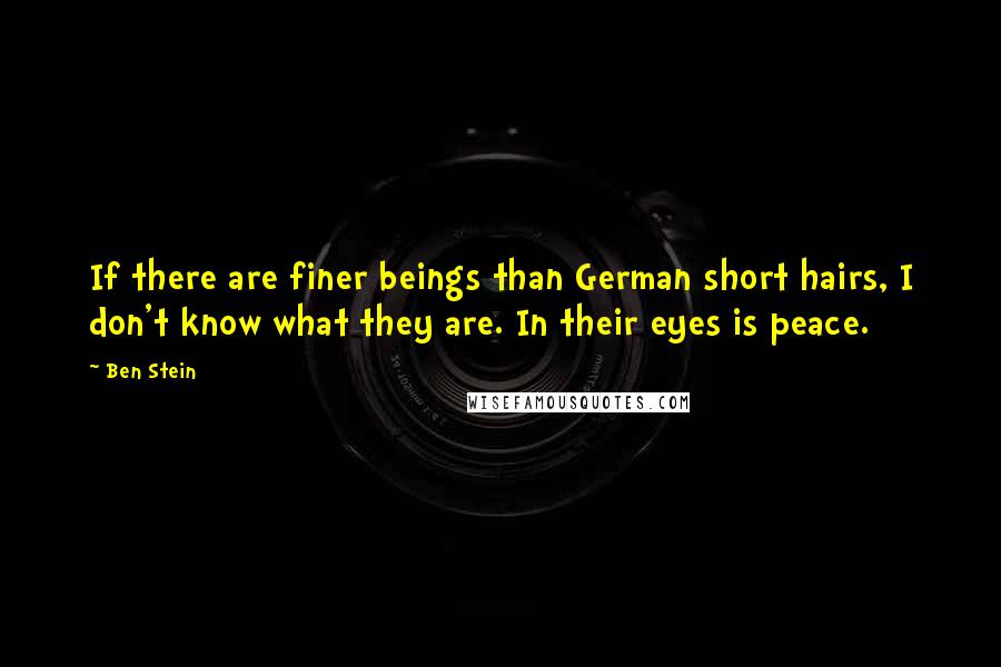 Ben Stein Quotes: If there are finer beings than German short hairs, I don't know what they are. In their eyes is peace.