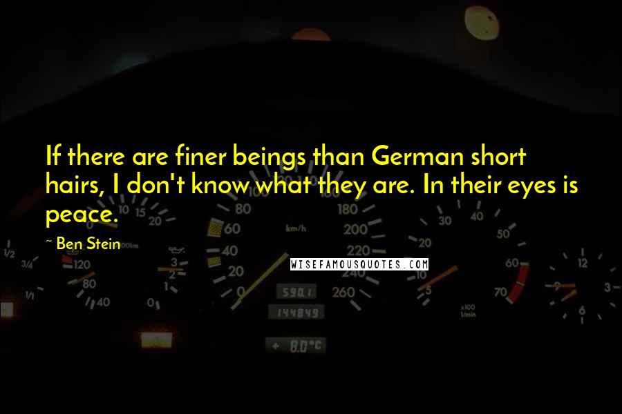 Ben Stein Quotes: If there are finer beings than German short hairs, I don't know what they are. In their eyes is peace.