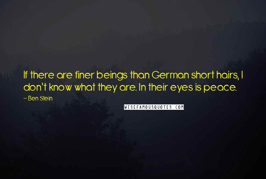 Ben Stein Quotes: If there are finer beings than German short hairs, I don't know what they are. In their eyes is peace.