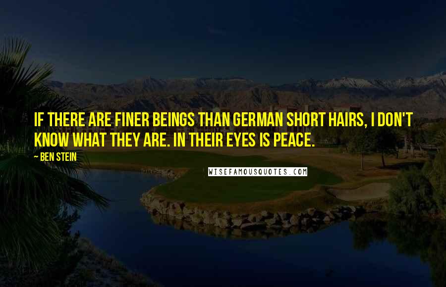 Ben Stein Quotes: If there are finer beings than German short hairs, I don't know what they are. In their eyes is peace.
