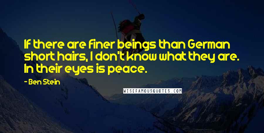 Ben Stein Quotes: If there are finer beings than German short hairs, I don't know what they are. In their eyes is peace.