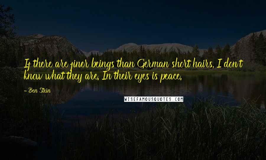 Ben Stein Quotes: If there are finer beings than German short hairs, I don't know what they are. In their eyes is peace.