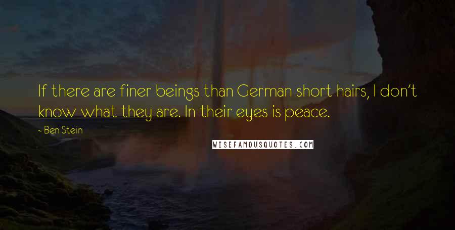 Ben Stein Quotes: If there are finer beings than German short hairs, I don't know what they are. In their eyes is peace.