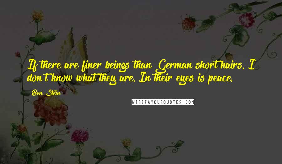 Ben Stein Quotes: If there are finer beings than German short hairs, I don't know what they are. In their eyes is peace.