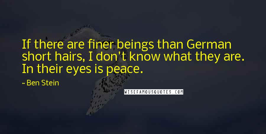 Ben Stein Quotes: If there are finer beings than German short hairs, I don't know what they are. In their eyes is peace.