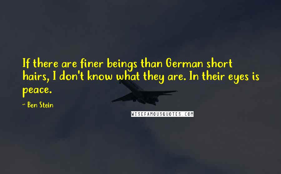 Ben Stein Quotes: If there are finer beings than German short hairs, I don't know what they are. In their eyes is peace.