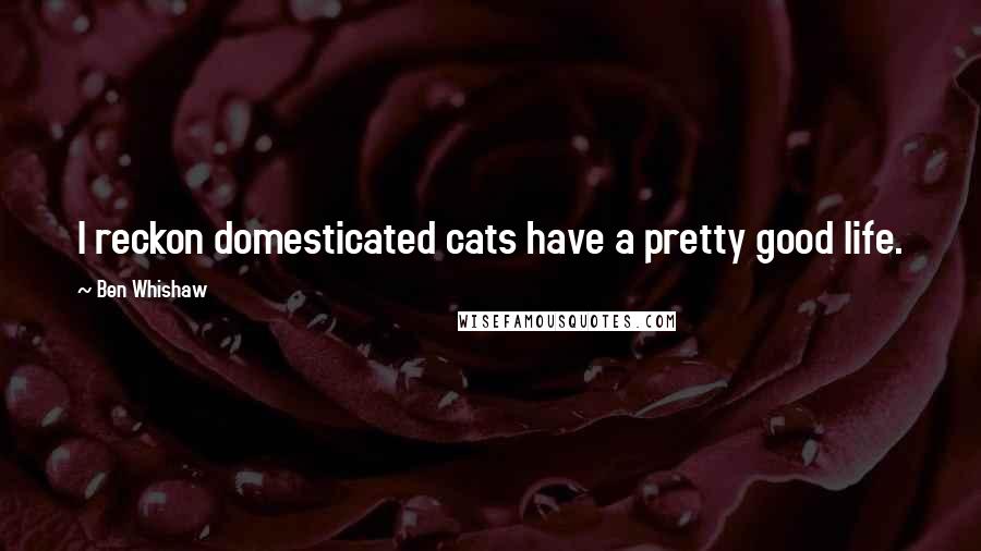 Ben Whishaw Quotes: I reckon domesticated cats have a pretty good life.
