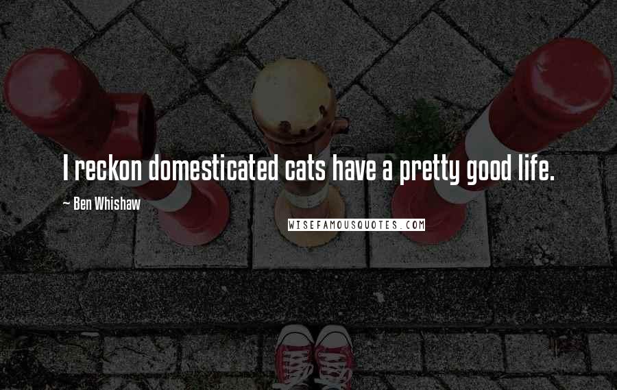 Ben Whishaw Quotes: I reckon domesticated cats have a pretty good life.