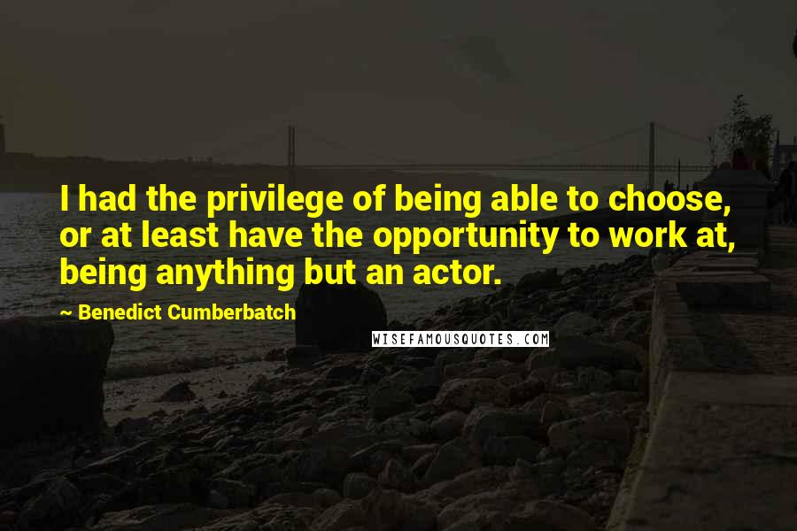 Benedict Cumberbatch Quotes: I had the privilege of being able to choose, or at least have the opportunity to work at, being anything but an actor.