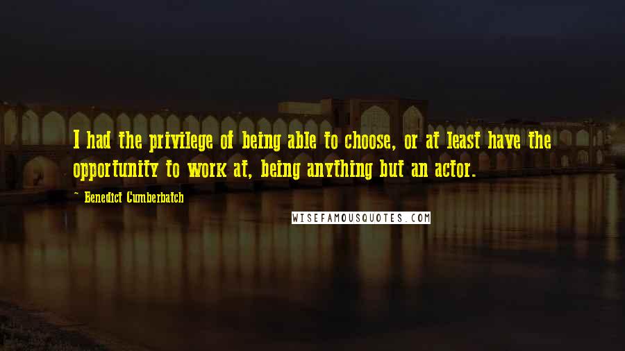 Benedict Cumberbatch Quotes: I had the privilege of being able to choose, or at least have the opportunity to work at, being anything but an actor.