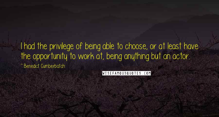 Benedict Cumberbatch Quotes: I had the privilege of being able to choose, or at least have the opportunity to work at, being anything but an actor.