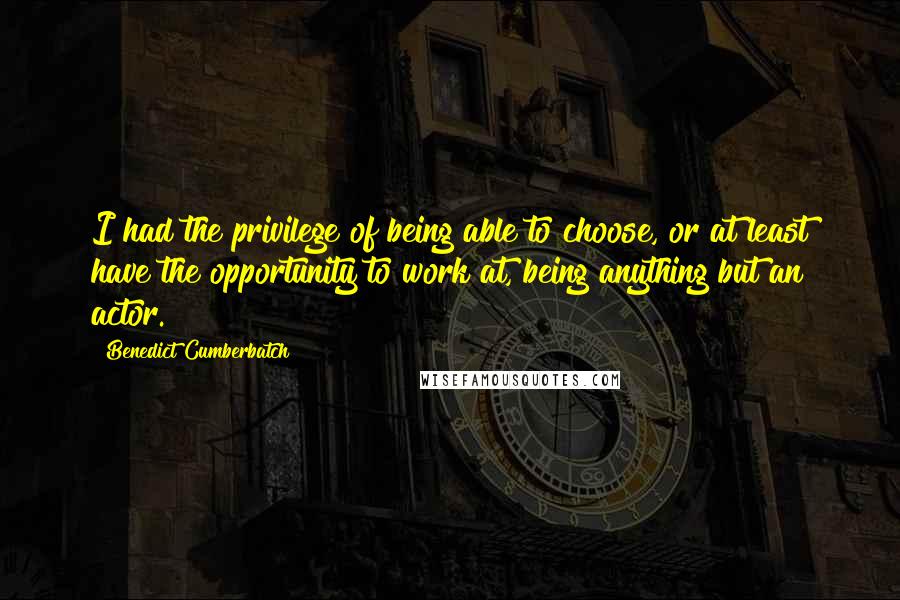 Benedict Cumberbatch Quotes: I had the privilege of being able to choose, or at least have the opportunity to work at, being anything but an actor.