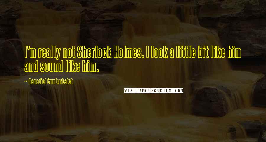 Benedict Cumberbatch Quotes: I'm really not Sherlock Holmes. I look a little bit like him and sound like him.